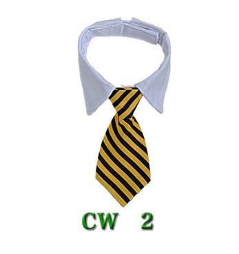 Gentleman's Tie for Cat's