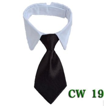 Gentleman's Tie for Cat's