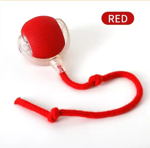 Cat Toy for Endless Interactive Fun