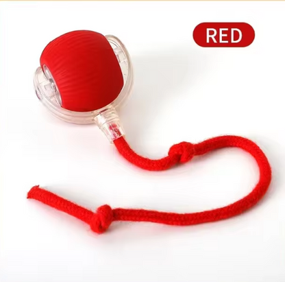 Cat Toy for Endless Interactive Fun