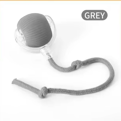 Cat Toy for Endless Interactive Fun
