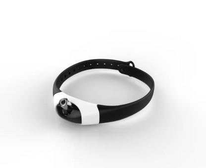 Interactive Fun Cat Toy
