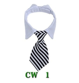 Gentleman's Tie for Cat's