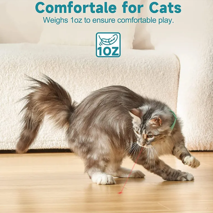 Interactive Fun Cat Toy